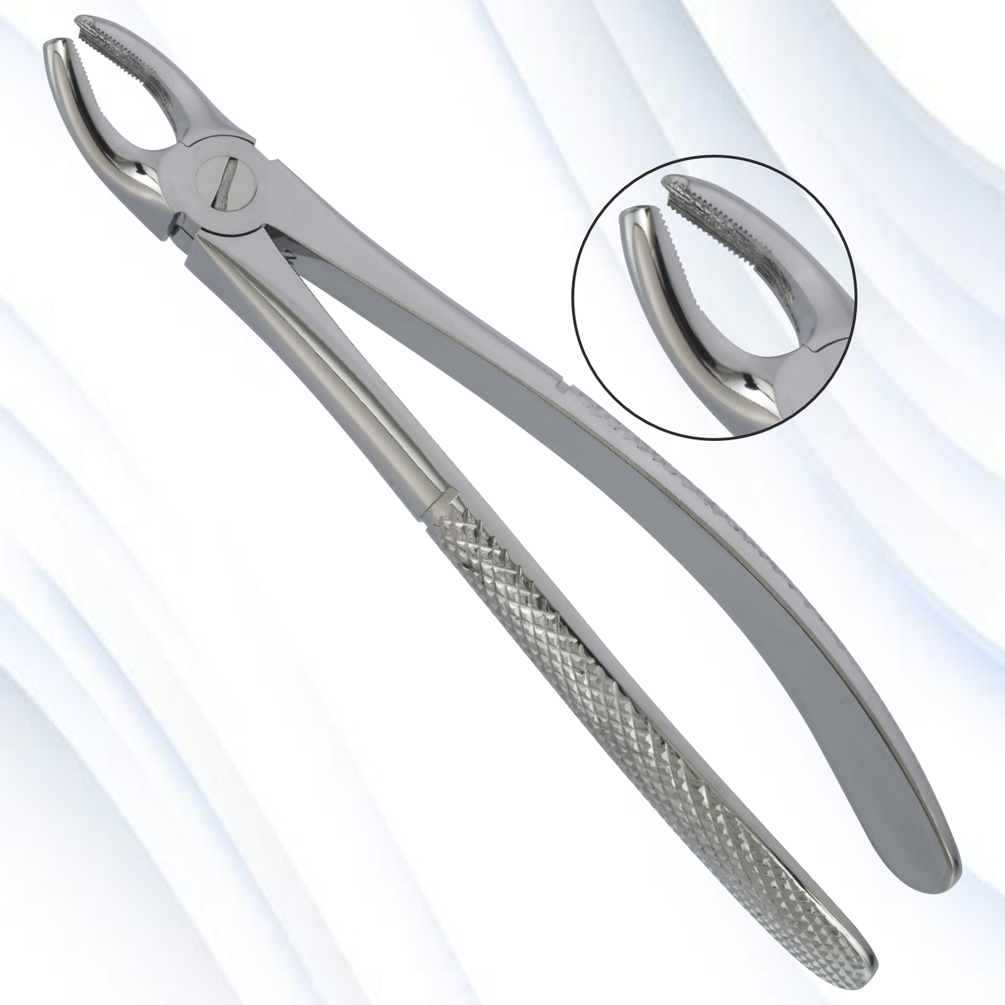 upper molars