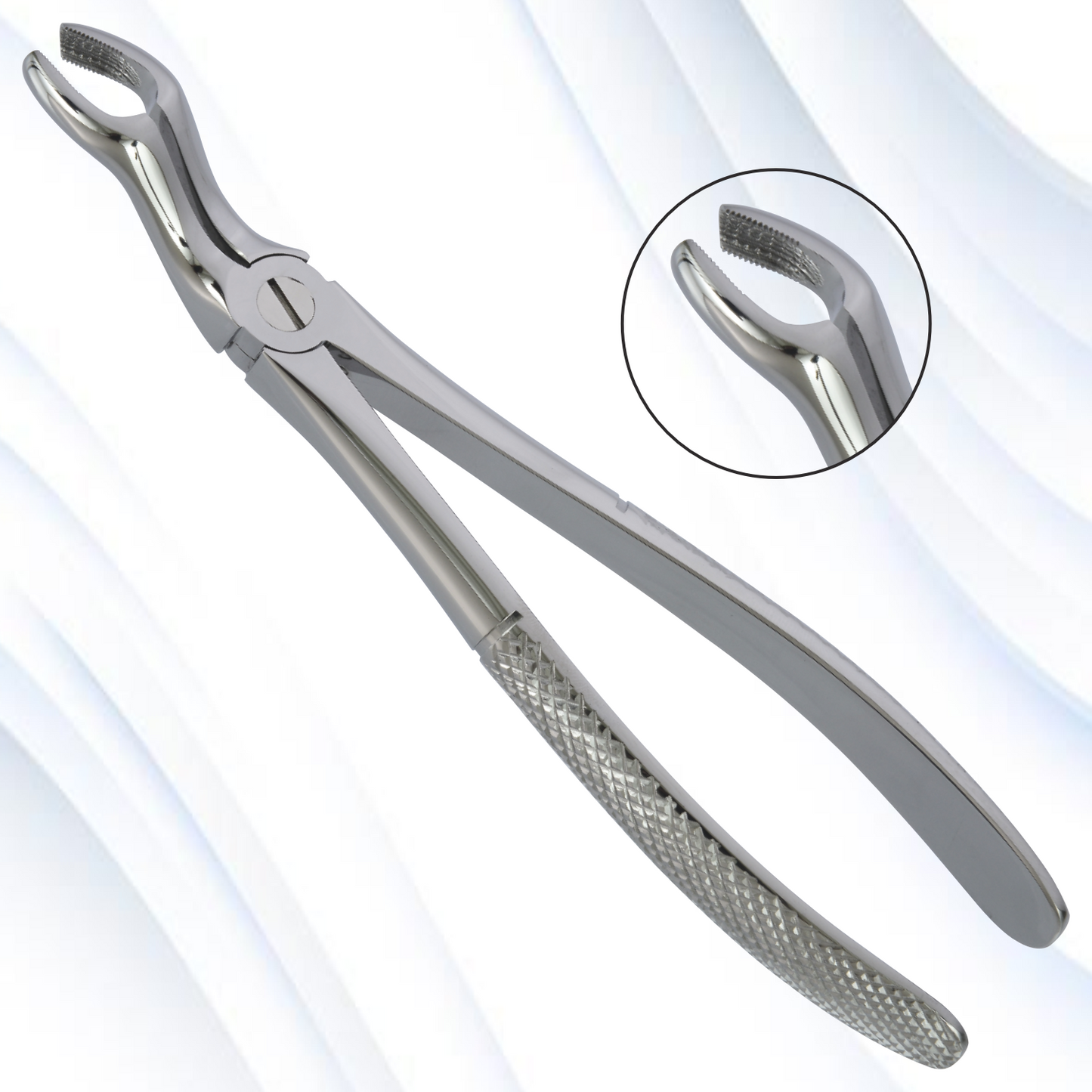 upper thrid molars