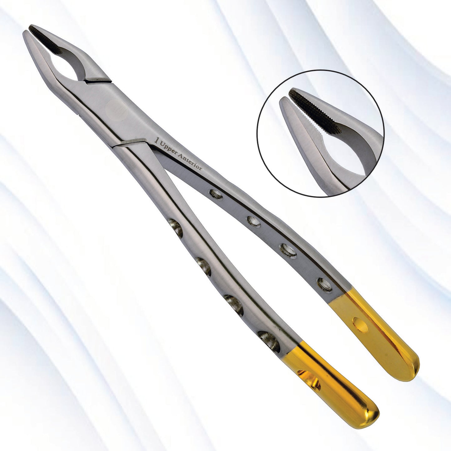 Upper Anterior