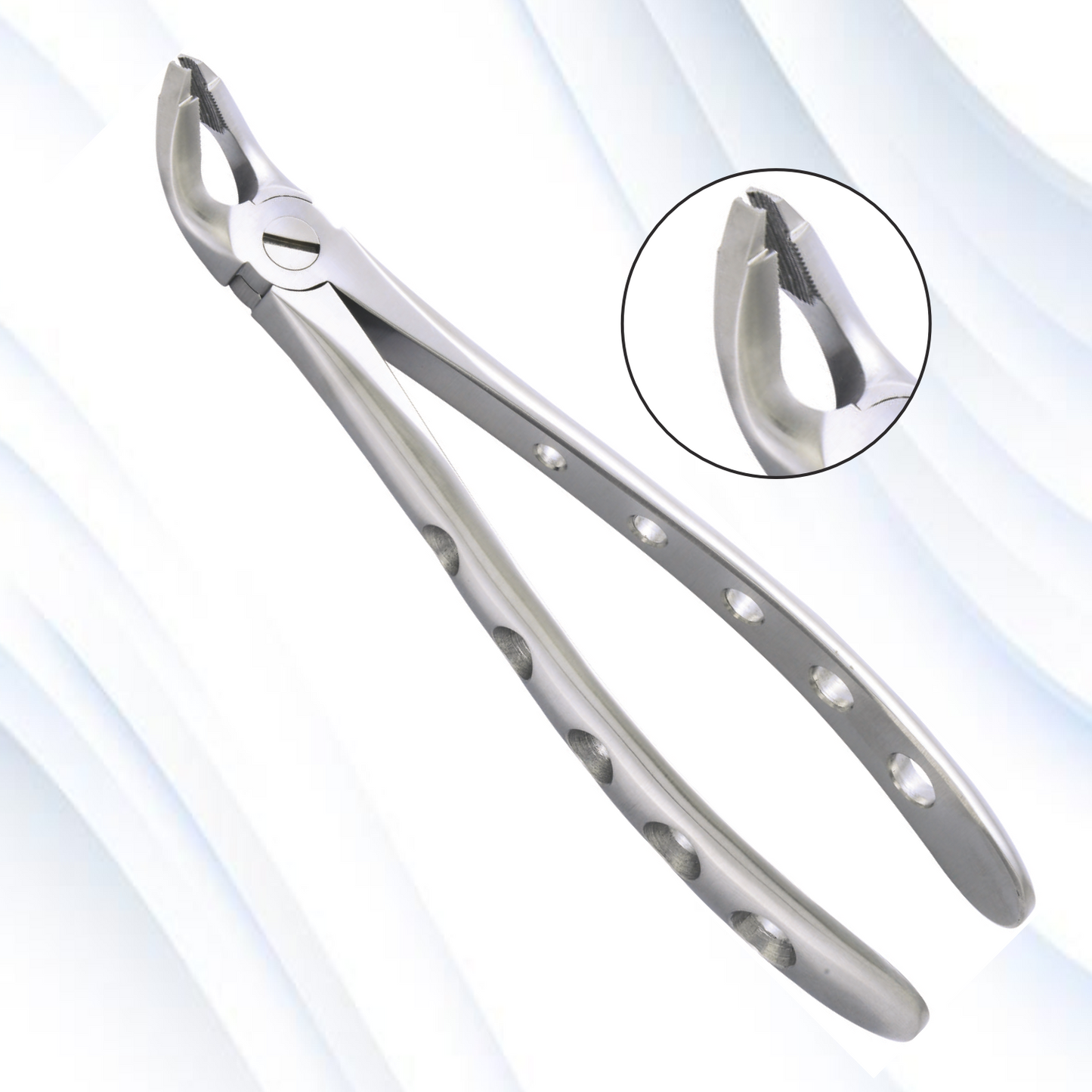 Lower Root Molars
