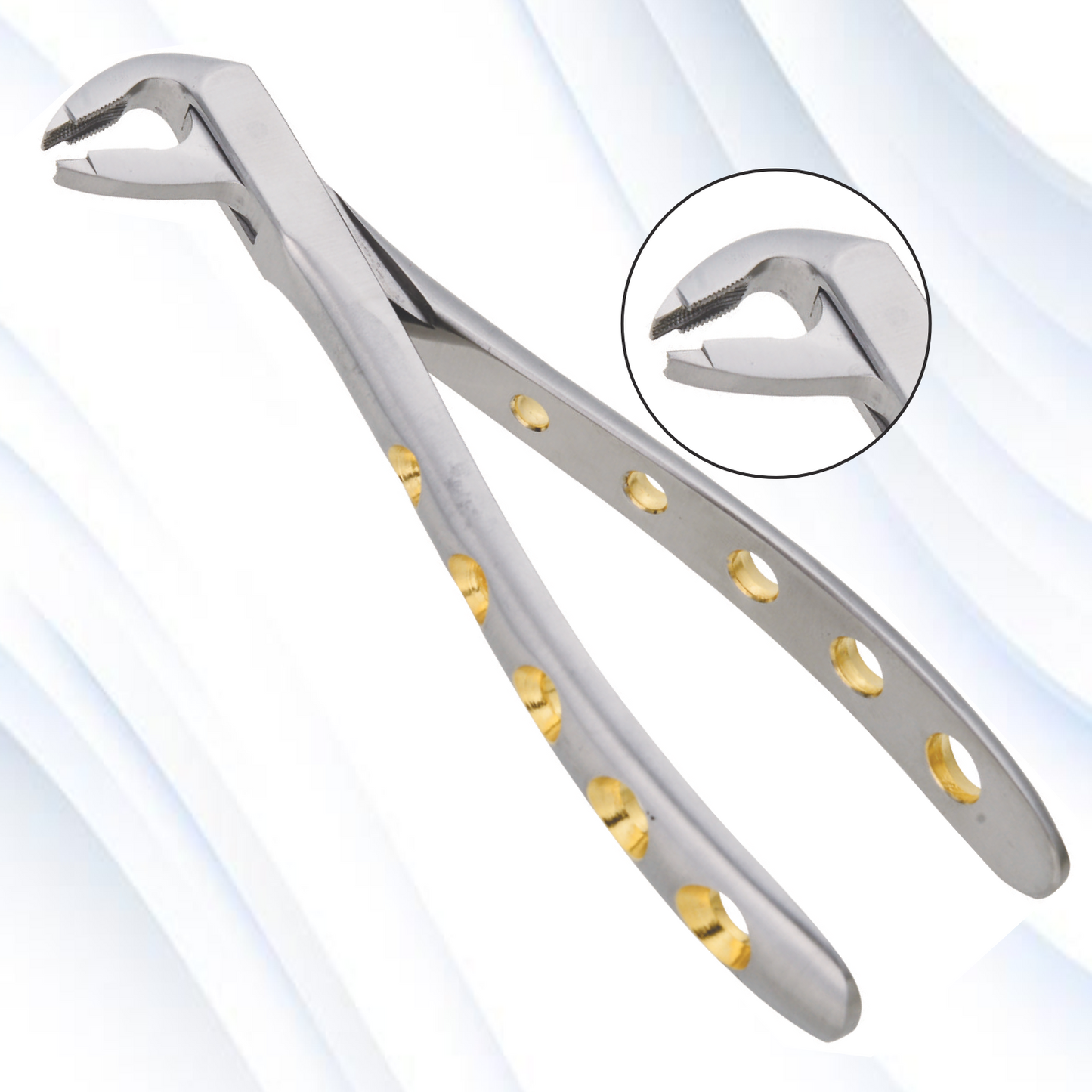 Lower Premolars Deep-Gripping