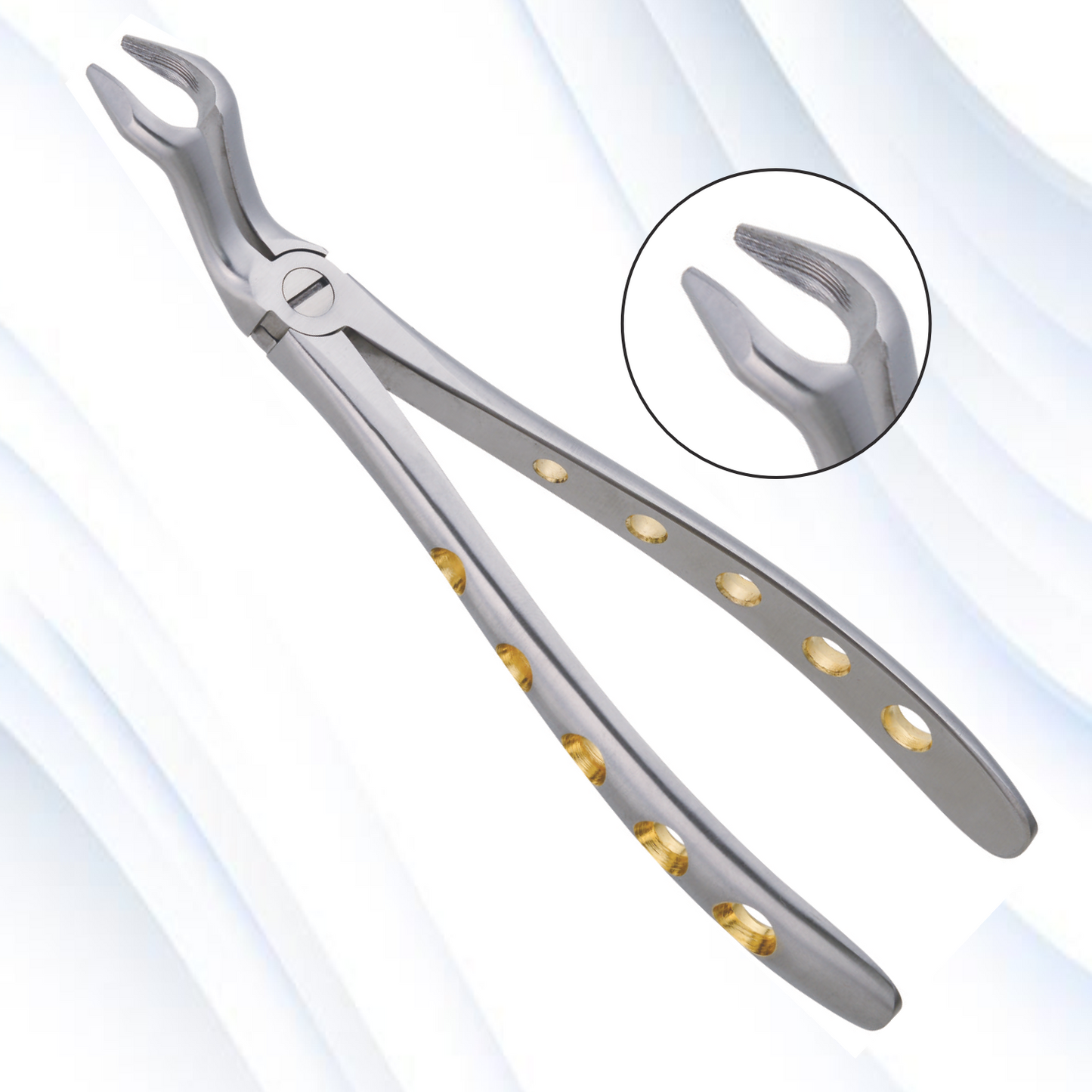 Upper Thrid Molars