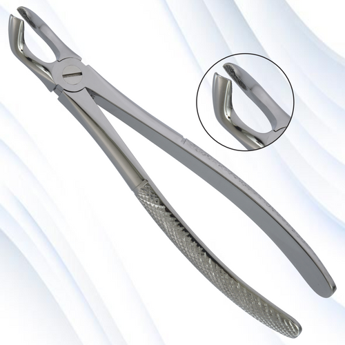 lower third molars