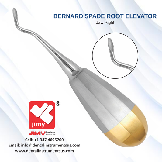 Bernard Spade Jaw Right Elevator